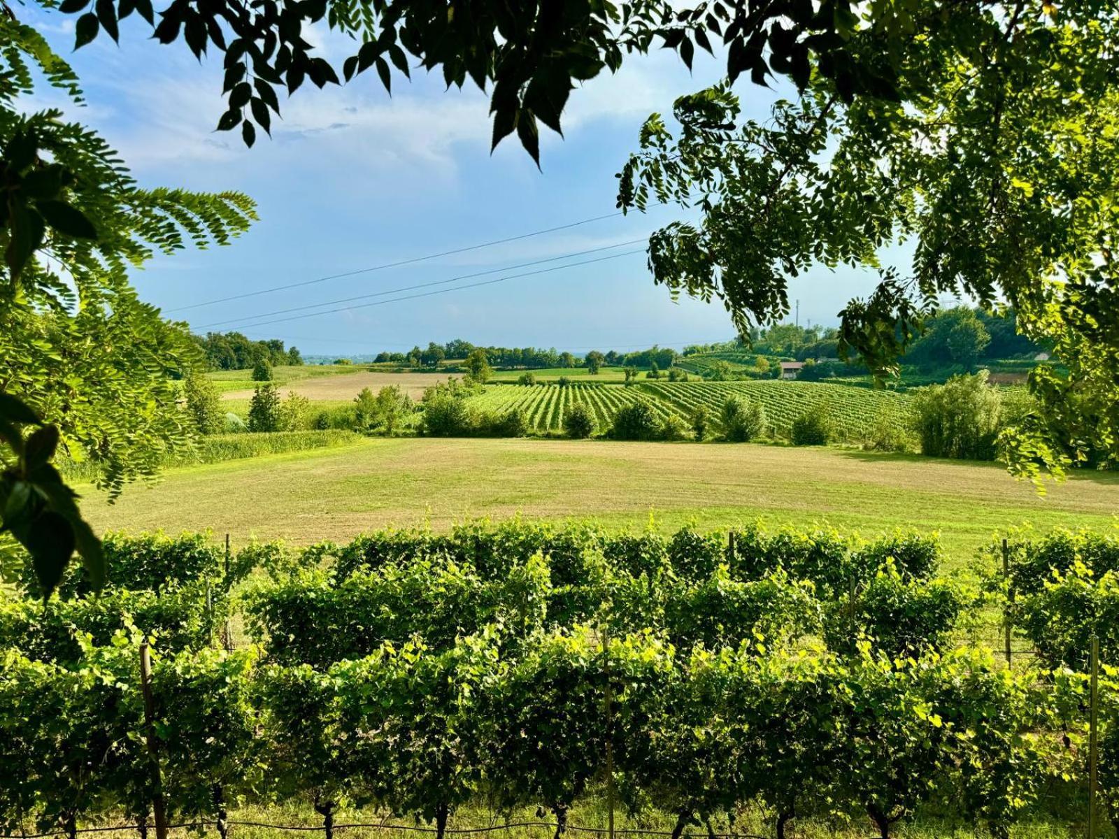 Residenza Le Vigne Villa Pozzolengo Eksteriør bilde